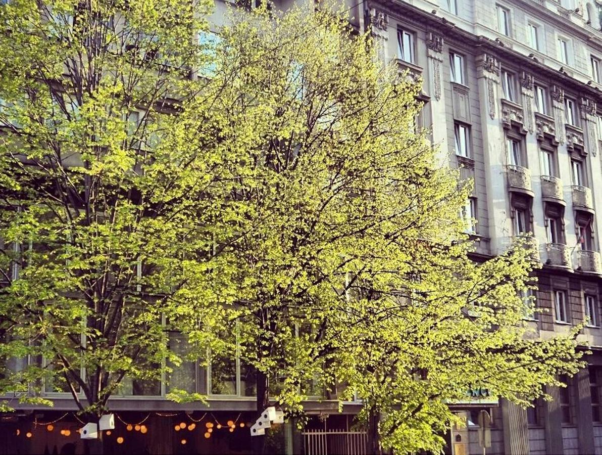 Supreme Palace Cube Beograd Ngoại thất bức ảnh